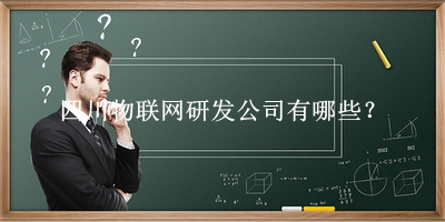 四川物聯網研發(fā)公司